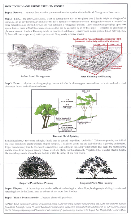 San Diego Fire Abatement and Brush Removal Regulations back